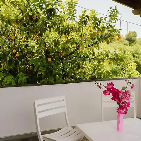 Sea Breeze House 50m From - 2floors- 6guests *
